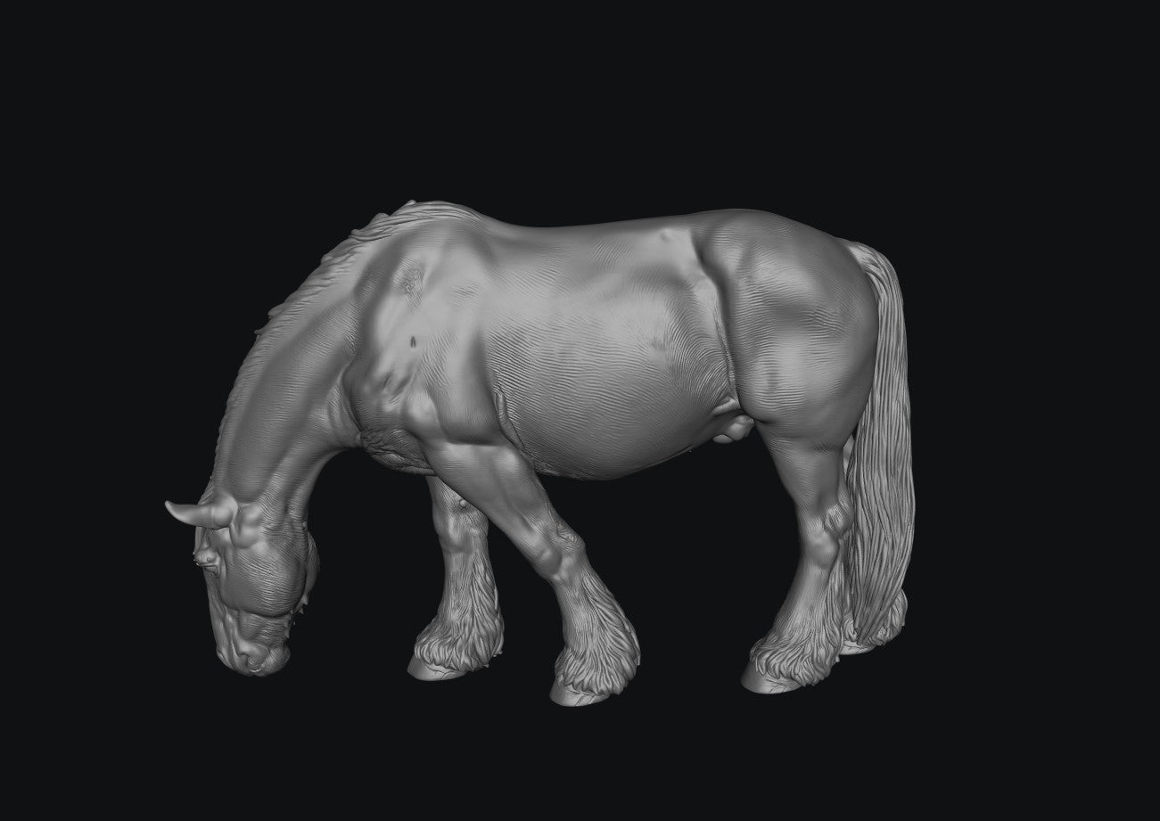 SWF004 Shire Horse B Feeding