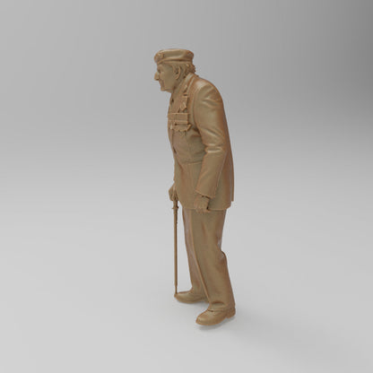 SW9043 Old Veteran