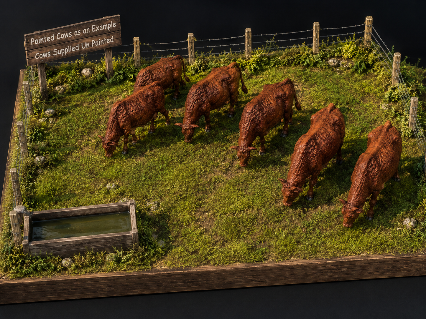 SWF001 Red Devon Cows Grazing x 6
