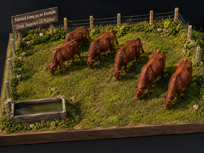 SWF001 Red Devon Cows Grazing x 6