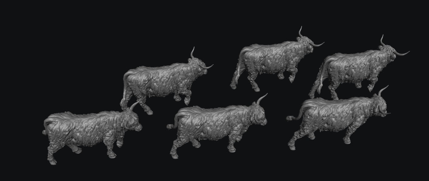 SWF002 Highland Cows Walking x 6