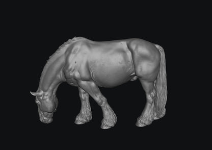 SWF004 Shire Horse B Feeding