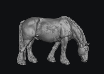 SWF004 Shire Horse B Feeding