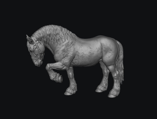 SWF004 Shire Horse D Front Foot Up