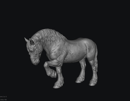 SWF004 Shire Horse D Front Foot Up